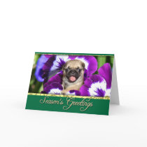 Season's Greetings Pug puppy in pansies card