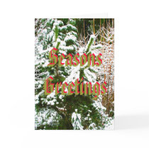 Seasons Greetings, Snow Scene Card