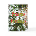 Seasons Greetings, Snow Scene Card