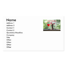 Season's Greetings Squirrel Business Card Template