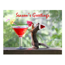 Season's Greetings Squirrel Post Card