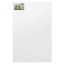 Season's Greetings Squirrel Stationery