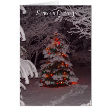 Season's Greetings Winter Wonderland Card