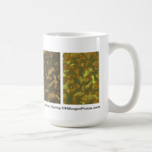 Seasons Mug