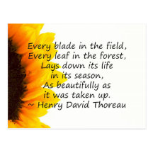 Seasons of Life Postcards