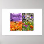 Seasons of Nature posters