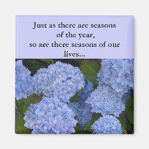 Seasons of our Lives... Magnet