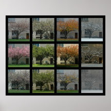 Seasons Poster