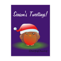 Season's tweetings Christmas Robin Postcard