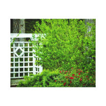 Seat dans le jardin toiles tendues