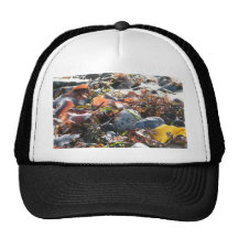 Seaweed Mesh Hat