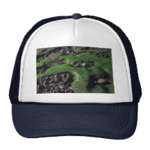 Seaweed on pebbles mesh hats