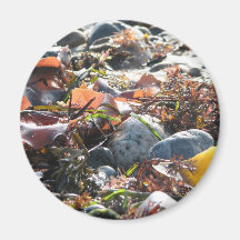 Seaweed Refrigerator Magnet