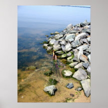 Seaweed Rocks Print