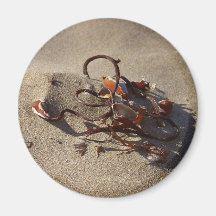 Seaweed Sand Beaches Fridge Magnets