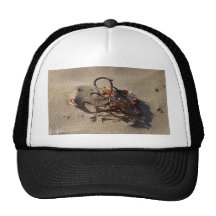 Seaweed Sand Beaches Mesh Hat