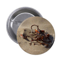 Seaweed Sand Beaches Pins