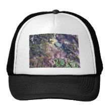 Seaweeds in a pool hats