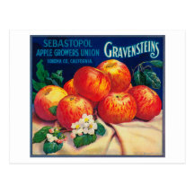 Sebastopol Gravensteins Apple LabelSonoma, CA Post Cards