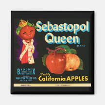 Sebastopol Queen Apples Fridge Magnets
