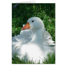 Sebbie Goose Greeting Card