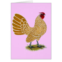 Sebright:  Buff-laced Rooster Cards