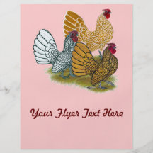 Sebright Rooster Assortment Flyer
