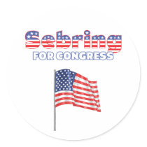 Sebring for Congress Patriotic American Flag Sticker