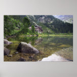Secluded Beauty Poster