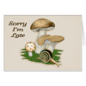 Secret Garden cards