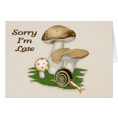Secret Garden Cards by Spice