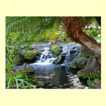 Secret garden in paradise postcards