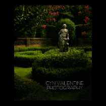 Secret Gardens posters