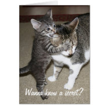 Secret Greeting Cards