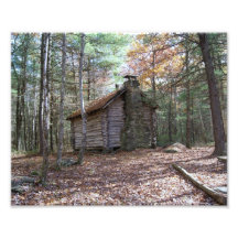Secret Hidden Cabin 10 x 8 Photographic Print
