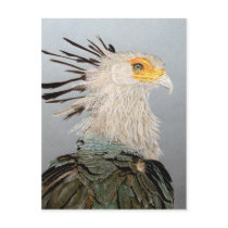 Secretary Bird