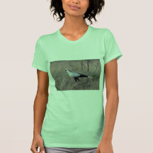 Secretary Bird Tee Shirts