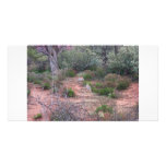 Sedona Path Photo Cards