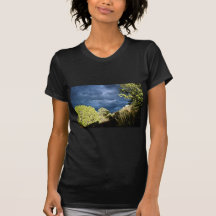 Sedona stormy skies tshirts
