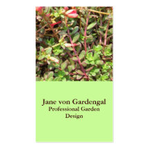 Sedum Business Card Template
