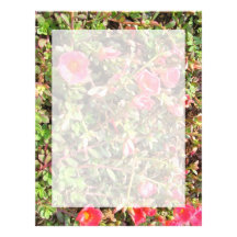 Sedum Letterhead Design