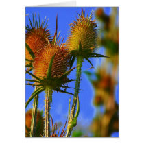 SEE: PODS GREETING CARD