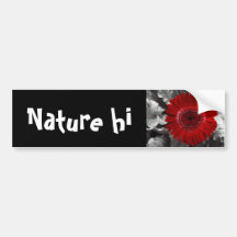 see red bumper sticker