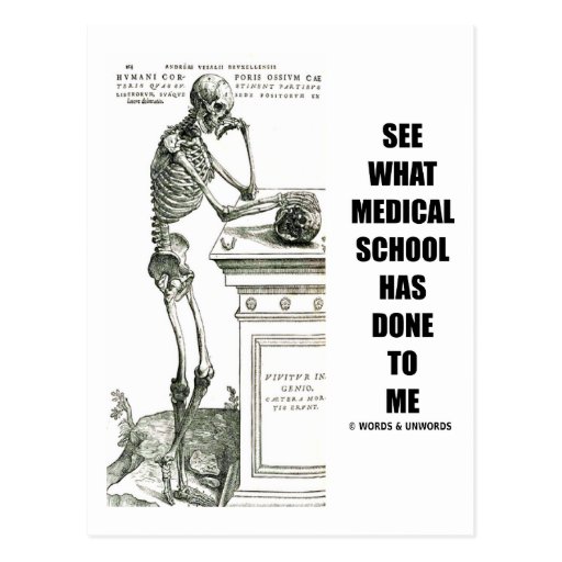 See What Medical School Has Done To Me (Skeleton) Post Card