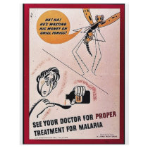 See Your Doctor For Proper Tretment For Malaria Full Color Flyer