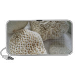 Seea shells and stones Doodle Speakers