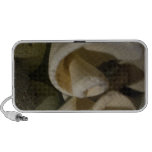 Seea shells and stones Doodle Speakers