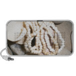 Seea shells and stones Doodle Speakers