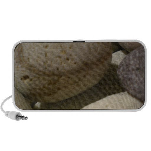 Seea shells and stones Doodle Speakers