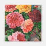 Seed Catalogue 1 Roses Magnet